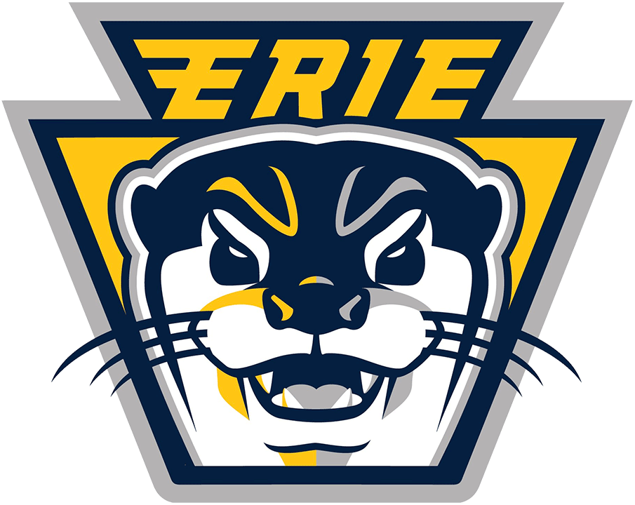 Erie Otters 2019-Pres Alternate Logo iron on heat transfer